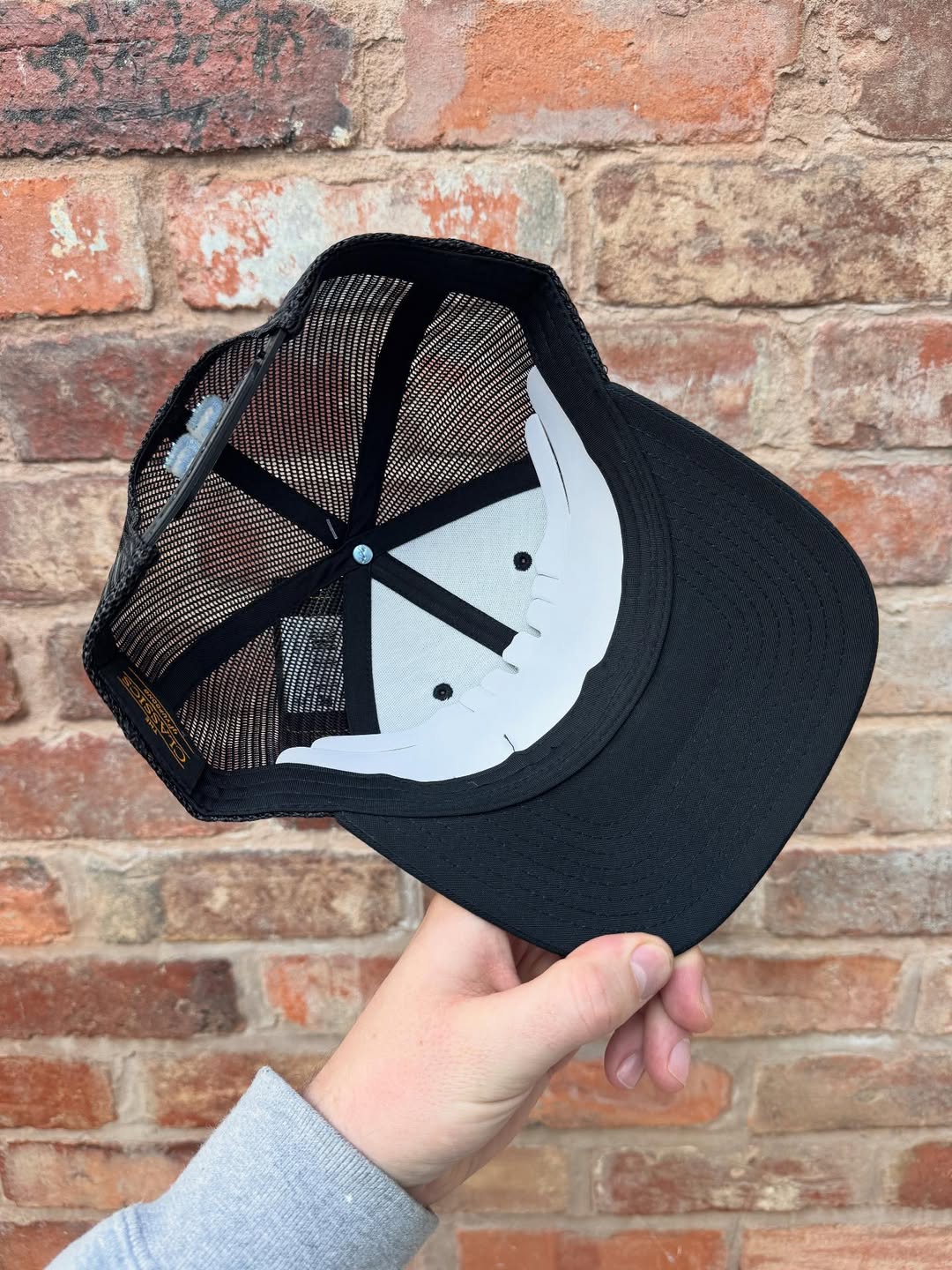 Concrete Creps Blue Tint Cap