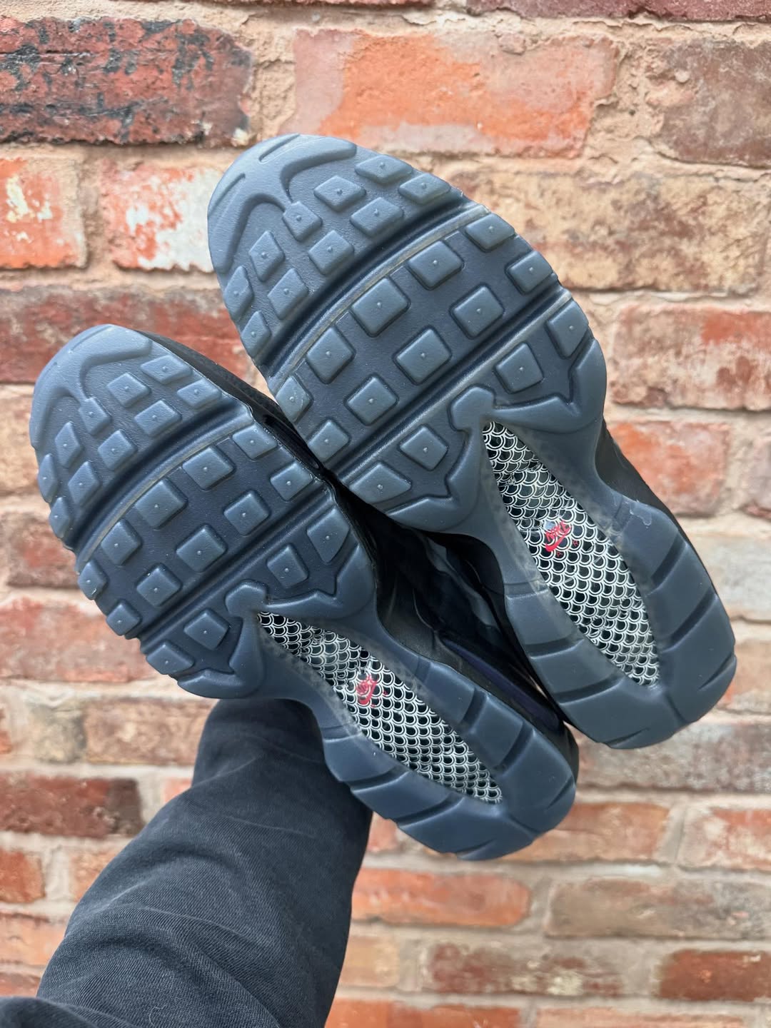 Air Max 95 Koi Fish Scales